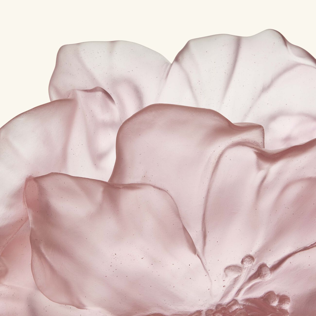 Camellia Vase Medium Pink daum camellia vase medium pink