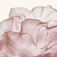 Camellia Vase Medium Pink daum camellia vase medium pink