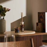 My First Baobab Cities Marrakech Gift Set baobab collection my first baobab cities marrakech gift set