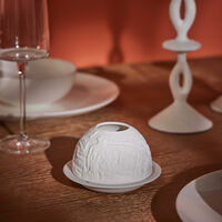 مصباح ليثوفاني واشنطن برناردو مصباح ليثوفاني واشنطن