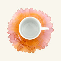 Or d'Abeille Coffee Cup and Crystal Saucer Amber daum or d abeille coffee cup and crystal saucer amber