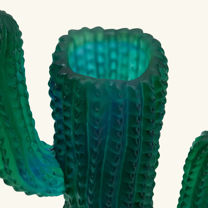 دوم مزهرية جاردان دو كاكتوس متوسطة خضراء