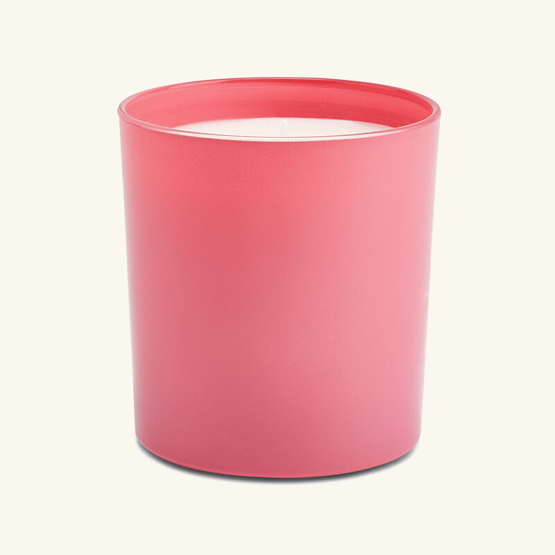 dolce gabbana casa rosa moschata candle