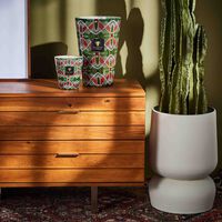 شمعة ماكسي واكس ماليا ماكسي ماكس باوباب شمعة ماكسي واكس ماليا ماكسي ماكس