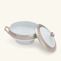 Divine Soup Tureen Silver bernardaud divine soup tureen silver