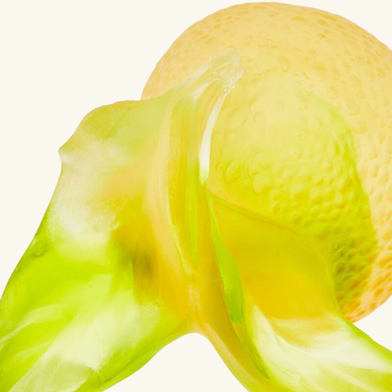 Citrus Lemon Decorative Figurine Small Yellow Limited Edition daum citrus lemon decorative figurine small yellow limited edition