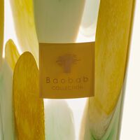 baobab collection riviera santo sospir totem diffuser 5l
