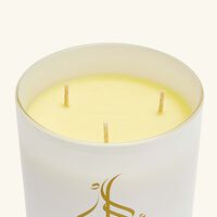 light of sakina revelation candle 850ml