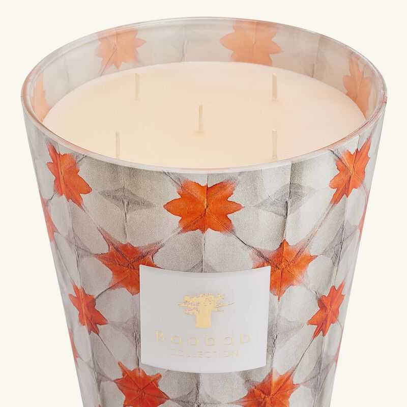Odyssee Calypso Candle Max 24 baobab collection odyssee calypso candle max 24