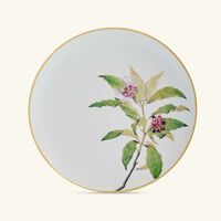 bernardaud jardin indien serving platter round green 32cm