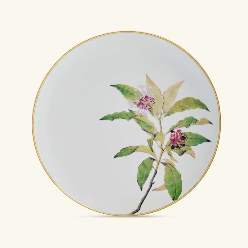 bernardaud jardin indien serving platter round green 32cm