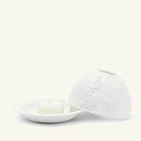 برناردو مصباح ليثوفاني مونيومان دو باري