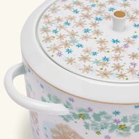 برناردو طبق الحساء فيري مايكل كايو وردي