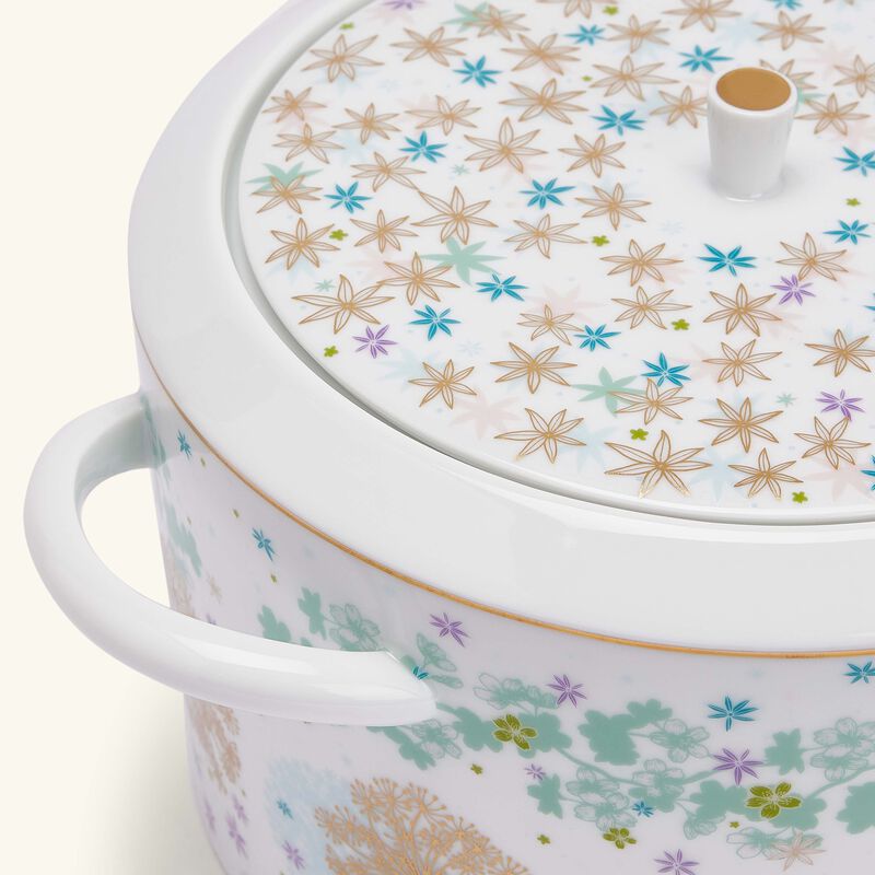 برناردو طبق الحساء فيري مايكل كايو وردي