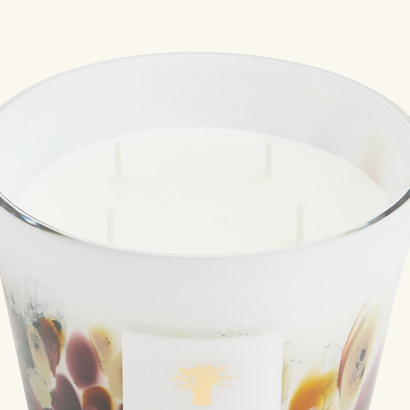 baobab collection rainforest tanjung candle max 10