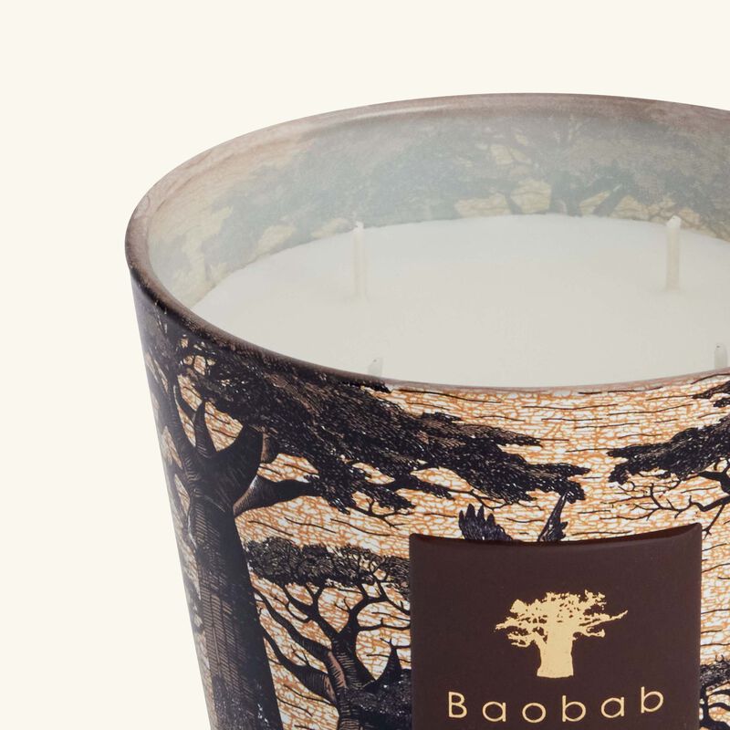 Sacred Trees Mankono Candle Max 10 baobab collection sacred trees mankono candle max 10