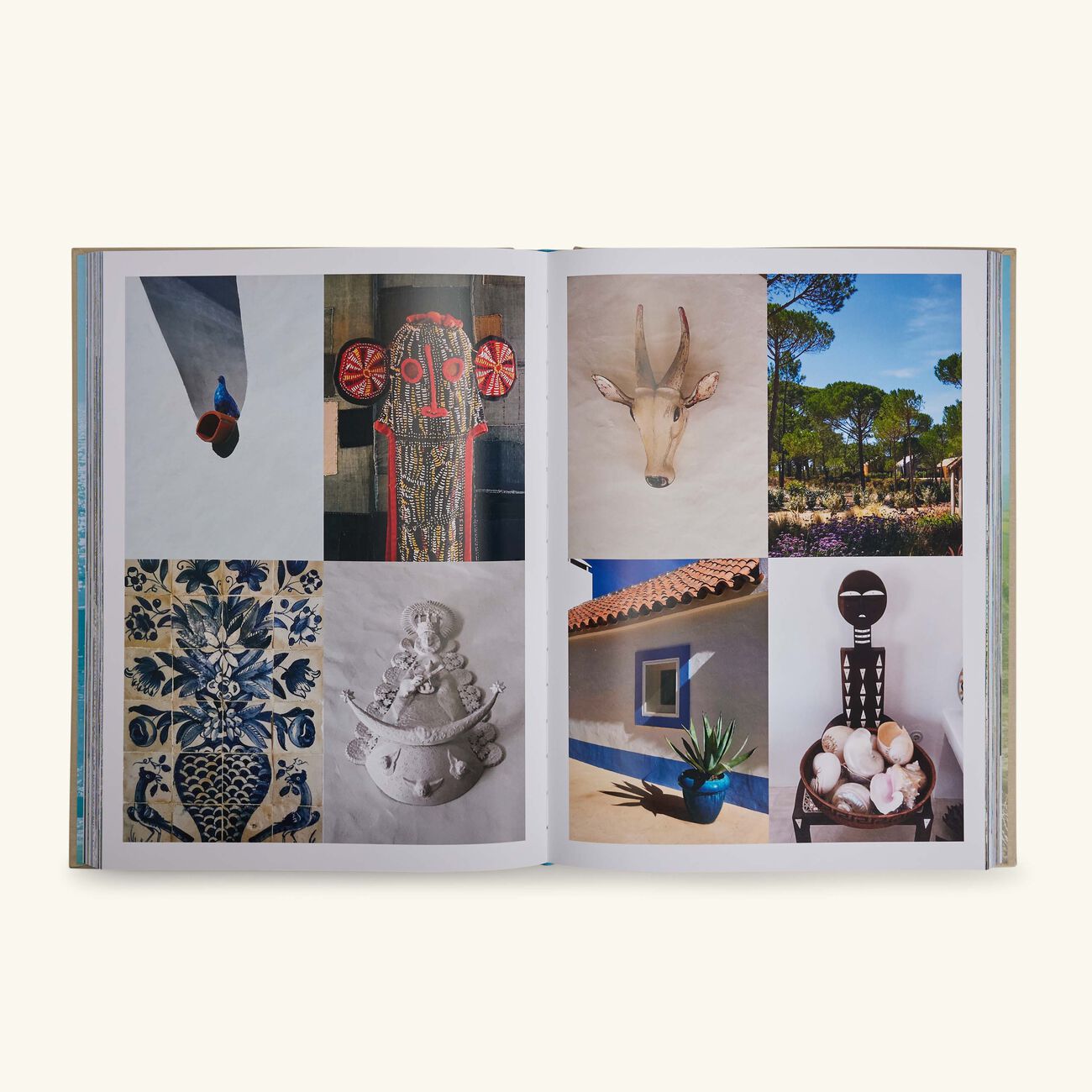 آسولين كتاب جمال بليس 33 25 سم