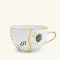 ماري داج كوب للفطور مع صحنه أخضر