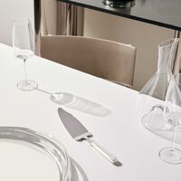 كريستوفل سكين تقطيع الكيك مالميزون باللون الفضي