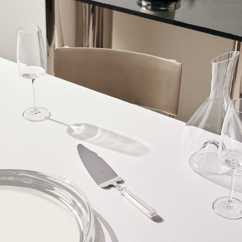 كريستوفل سكين تقطيع الكيك مالميزون باللون الفضي