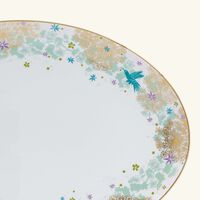 برناردو طبق فيري مايكل كايو بيضاوي الشكل 38 سم