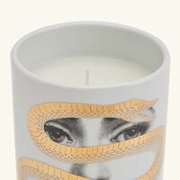 fornasetti frutto proibito candle 310g