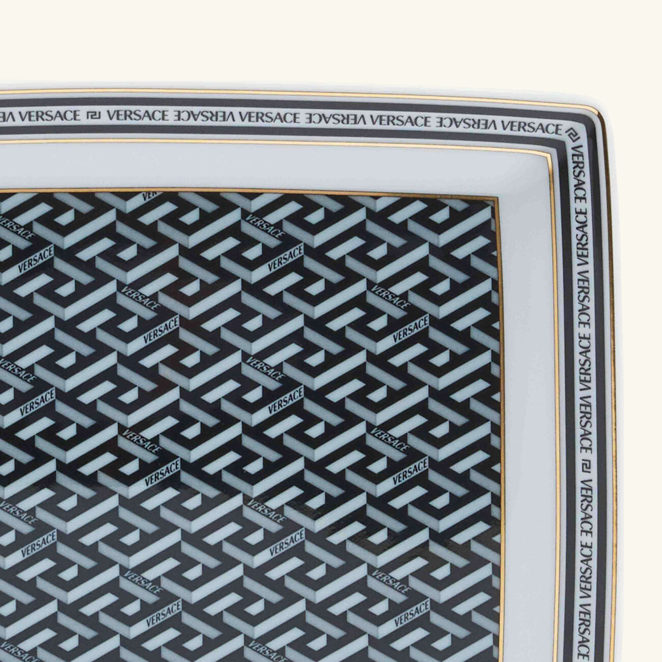 فيرساتشي طبق الضيافة لا جريكا سيغنتشر مستطيل 21 سم