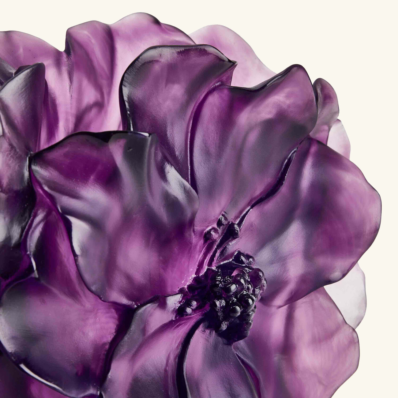 دوم مزهرية كاميليا متوسطة وردية