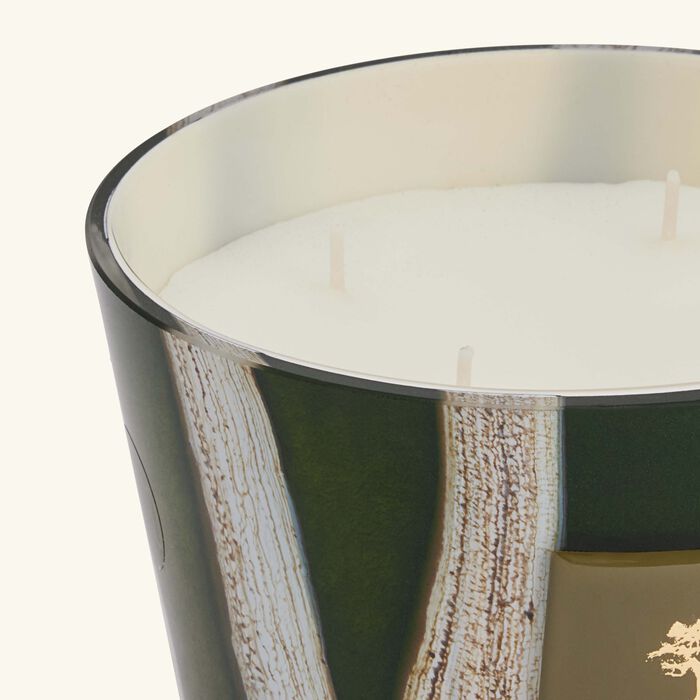 baobab collection woods sherwood candle max 10