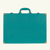 Teal Alligator Backgammon Set vido teal alligator backgammon set