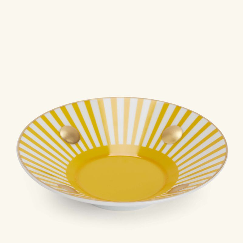 bernardaud delphos brick tea cup   saucer pattern