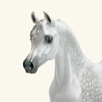 لادرو منحوتة على شكل خيل عربي أصيل كبيرة بيضاء محدودة الإصدار