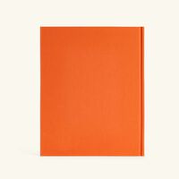 آسولين كتاب نيويورك باي نيويورك 33 25 سم