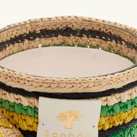 باوباب شمعة فيتي ميلالاو ماكس 10