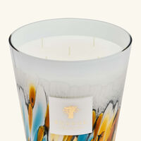Rainforest Mayumbe Candle Max 24 baobab collection rainforest mayumbe candle max 24