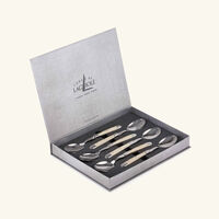 Acrylic Handle Soup Spoon Silver Set of 6 forge de laguiole acrylic handle soup spoon silver set of 6