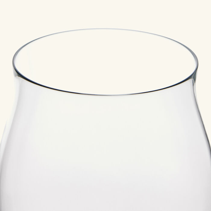 baccarat passion wine glass clear set of 2