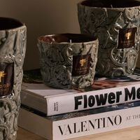 شمعة برام سيلفانوس المعطرة ماكس 16 باوباب شمعة برام سيلفانوس المعطرة ماكس 16