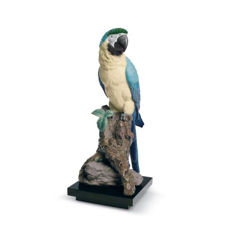 Macaw Bird Sculpture, large