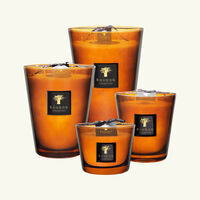 باوباب شمعة كوير دو روسي ماكس 10