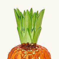 Victoria Pineapple Box Orange bernardaud victoria pineapple box orange