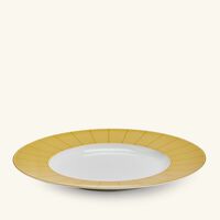 bernardaud jardin indien underplate round gold 32cm