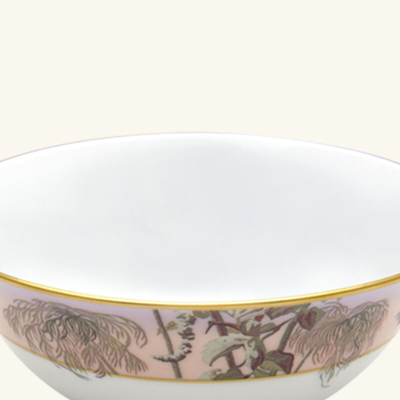 Le Brésil Bowl haviland le br sil bowl