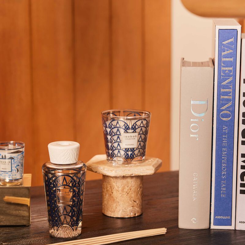 baobab collection my first baobab manhattan gift box