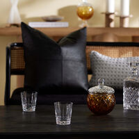 baccarat harlequin drinking glass clear set of 2