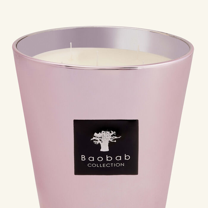 baobab collection roseum candle max 24