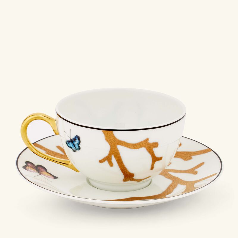 برناردو فنجان الشاي أو زوازو مع صحنه باللون الذهبي