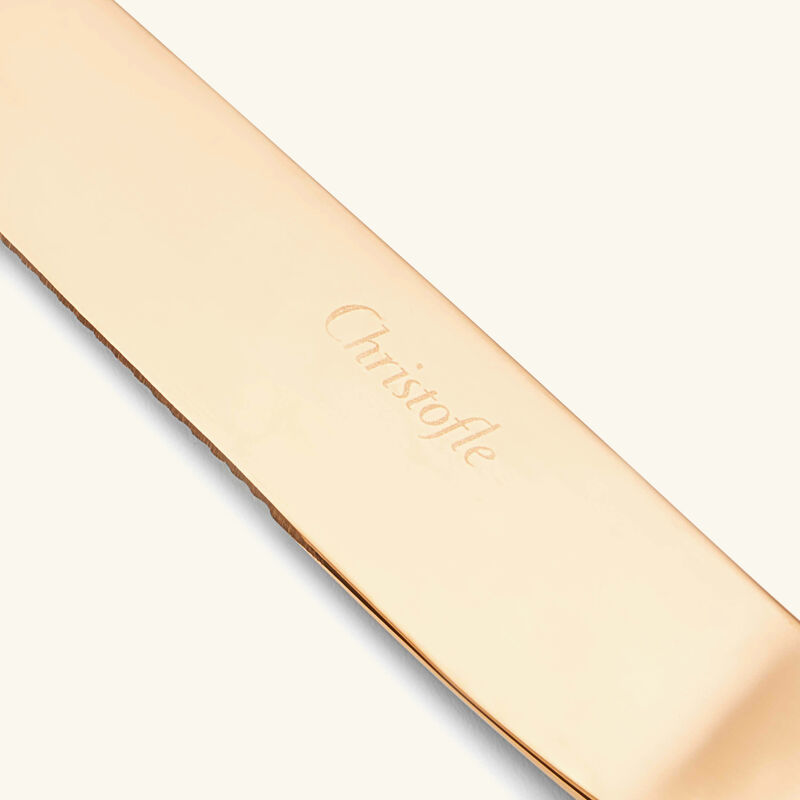 سكين الستيك لام دو كريستوفل وردي