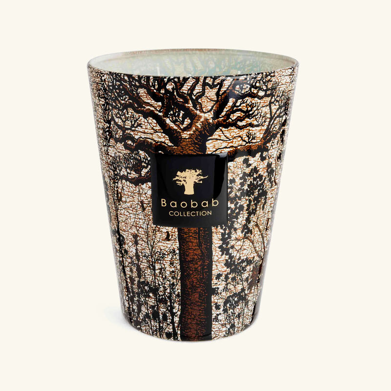 Sacred Trees Morondo Candle Max 24 baobab collection sacred trees morondo candle max 24