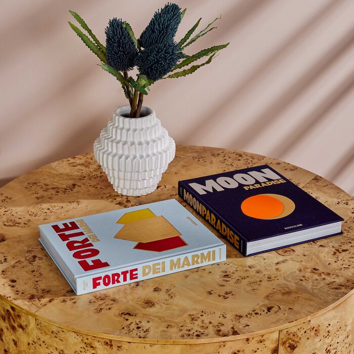 assouline moon paradise book 33x25cm